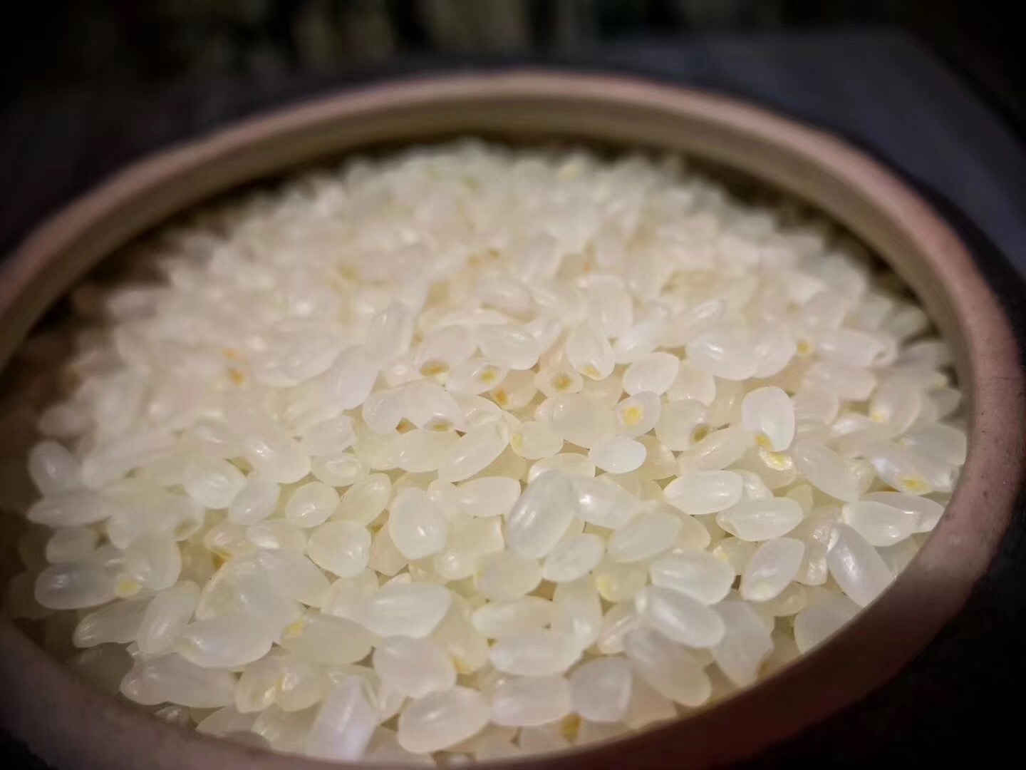 珍珠鲜米-素材