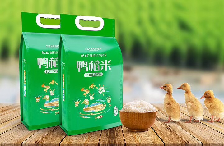 鸭稻米-素材